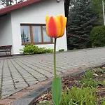 Ferienpark Osrodek Szkoleniowo - Wypoczynkowy Guzianka *