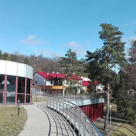 Ośrodek Szkoleniowo - Wypoczynkowy Guzianka Kompleks wypoczynkowy Ruciane-Nida