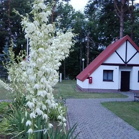 Ośrodek Szkoleniowo - Wypoczynkowy Guzianka