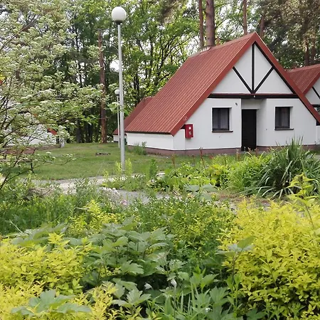 Osrodek Szkoleniowo - Wypoczynkowy Guzianka פארק נופש רוצ'יאנה-נידה