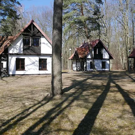 Osrodek Szkoleniowo - Wypoczynkowy Guzianka